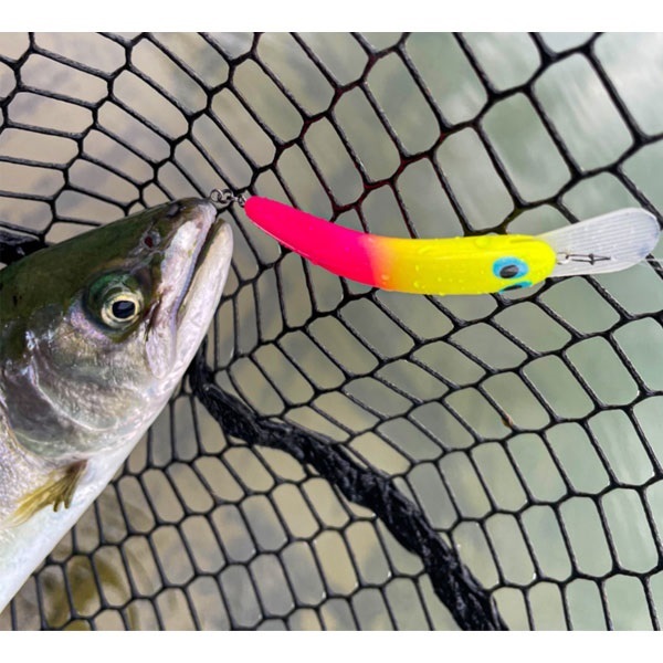 SILVERNA　瀧　ニョロ　60